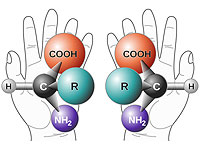 Израильские физики объяснили, почему природа отдает предпочтение одной 