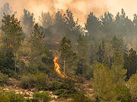 В Израиле издан указ о запрете на костры в мае-июне
