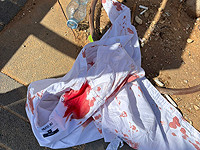 В Лоде 12-летний подросток задержан по подозрению в нападении на сверстника