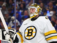 24 сэйва Суэймана. Достижения Пастрняка. Результаты матчей НХЛ