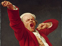 Зевание способствует движению в мозге, благодаря чему он очищается от отходов