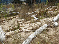 Доломитовую штукатурку впервые сделали в поселении Моца в Леванте на 8000 лет раньше, чем в Риме