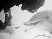 Хегсет отказался подтверждать или опровергать наличие у США 