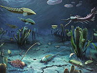 500 млн лет назад во время кембрийского взрыва главную роль, возможно, сыграл мозг, а не панцирь
