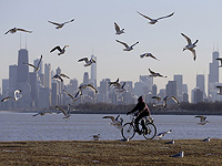Птицы в городах боятся женщин больше, чем мужчин