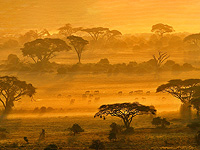 Израиль разворачивает в Кении первую в мире мобильную климатическую лабораторию