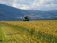 ЦАХАЛ предупредил жителей севера о возможных ракетных обстрелах 