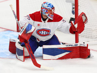Достижение Добеша. Хет-трик Марнера. Результаты матчей НХЛ