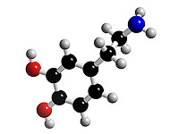 Восстановление уровня дофамина улучшает память в модели болезни Альцгеймера
