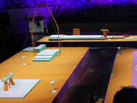 Спортивная гимнастика. Израильтянка Рони Шамай стала победительницей Кубка вызова