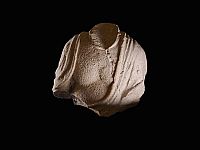 Во время похода в районе кратера Рамон восьмилетний мальчик нашел фигурку древнего божества