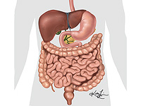 Израильские ученые построили карту воспаления кишечника, не используя колоноскопию