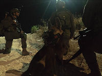 950-й день войны: действия в Ливане и Газе, операции в Иудее и Самарии