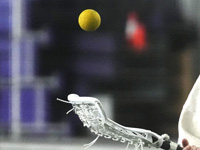 Чемпионат Европы по лакроссу в помещениях. Расписание матчей сборных Израиля
