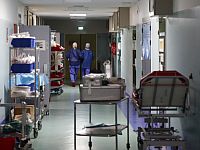 Состояние француженки, инфицированной хантавирусом, стало критическим