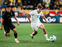 Чемпионат мира по футболу. Состав сборной Новой Зеландии