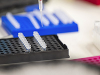 Парадокс эволюции: израильские ученые объяснили, как организмы меняют форму, даже сохраняя ДНК