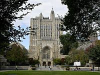 Минюст США обвинил медфак Йельского университета дискриминации белых и азиатских студентов