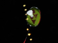 Бадминтон. Израильтянин проиграл во втором круге Открытого чемпионата Таиланда