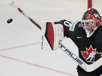 Чемпионат мира по хоккею. Канадцы победили шведов, финны - немцев
