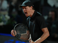 Полуфинал турнира в Риме Синнер - Медведев был прерван из-за дождя