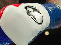 Бокс. Немецкий супертяж победил нокаутом на 15-й секунде