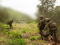 В минувшие выходные ВВС ЦАХАЛа нанесли удары по 120 объектам 