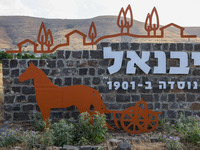 13-й канал ИТВ: герои ролика Инбар Твизер собирали деньги на свадьбу несовершеннолетних