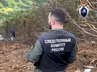 В Ленинградской области ищут В Ленинградской области ищут