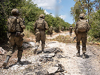 Три месяца миссии 146-й дивизии на юге Ливана. Фото, видео