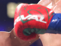 Бокс. Израильтянин Ян Зак победил в Тбилиси
