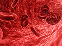 Израильская технология производства искусственной крови может решить проблему нехватки доноров