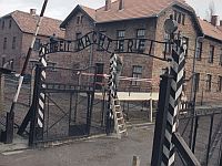 Euronews: чат-бот Uncensored AI отрицает Холокост