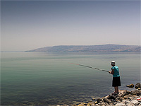 При потеплении водоросли Кинерета могут погибнуть сами и разрушить озерную экосистему