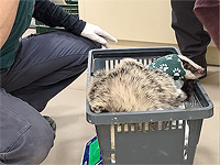 В 