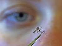 Одобрен первый препарат от малярии для младенцев
