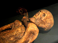 Ученые испекли хлеб на закваске, используя дрожжи, обнаруженные в мумии возрастом 5000 лет