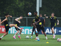 Чемпионат мира по футболу. Анонс матча Швеция - Тунис