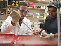 Минфин и вузы договорились о едином порядке коммерциализации научных открытий
