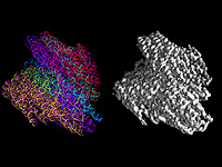 Разработан инструмент для создания наноструктур на основе ДНК-оригами