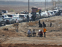 Amnesty International: 