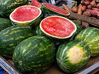 Аномальная вспышка вируса грозит Израилю дефицитом арбузов