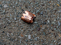 Израильские СМИ назвали имя мужчины, убитого в Монреале