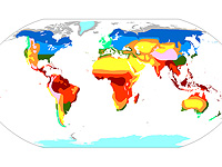 Израильские климатологи предлагают изменить модели предсказания смертоносных волн жары