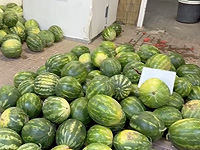 Кража тонны арбузов в полях Нахаль-Оза