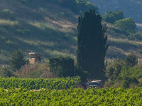 За ночь 