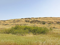 Жители Тель-Этона сохранили объект языческого культа, несмотря на реформы царя Езекии 2700 лет назад