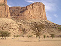 Восстание туарегов в северном Мали: захвачен город Тимбукту