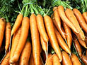 Россия: израильскую морковь легко компенсировать