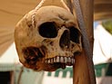 По следам Суини Тодда: каннибалы из Бразилии пекли пироги с человечиной